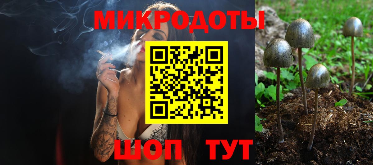 Псилоцибиновые грибы GOLDEN TEACHER Каспийск